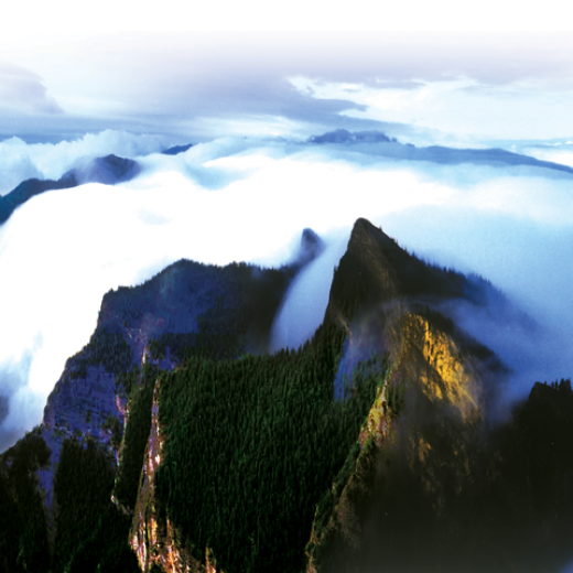 20091410590678366.png